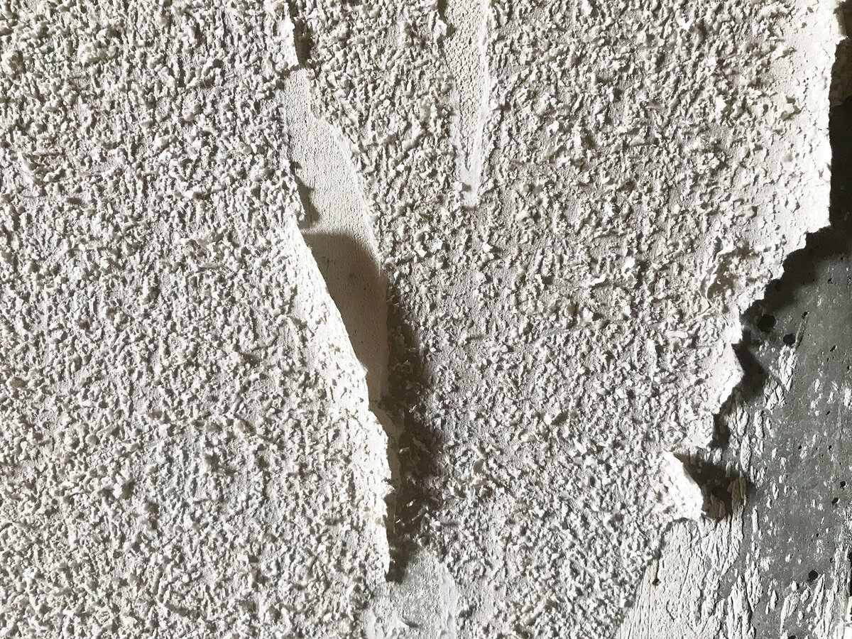 Стена в коридоре, после того, как ее облюбовал кот, выглядит так