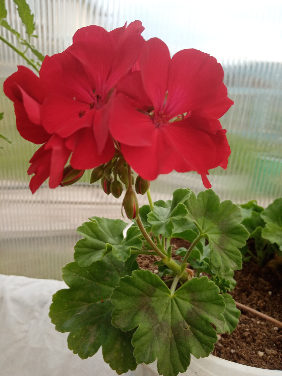 фото из личного альбома автора. 