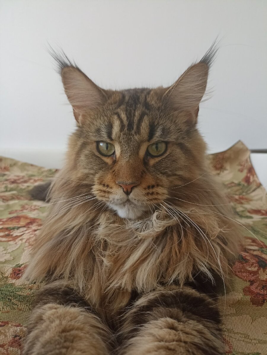 Просто шикарен