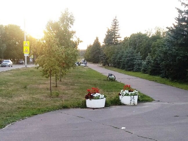 Справа клумба, на которой отщипнула кусочек побега