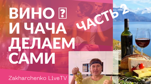 12 интересных ютуб-каналов о вине на русском языке