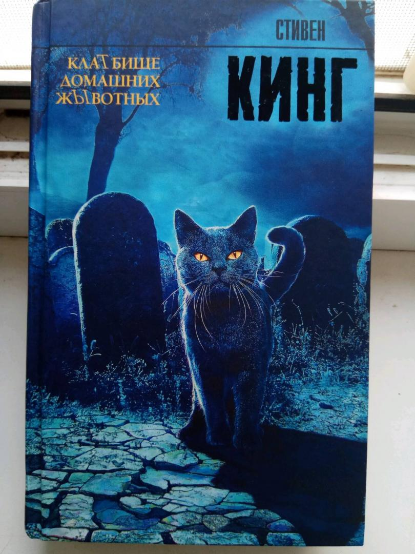 Кладбище животных книга. Стивен Кинг кладбище домашних животных. Кладбище домашних животных Стивен Кинг книга иллюстрации. Кладбище домашних животных Стивен Кинг книга. Кладбище домашних животных Стивен Кинг книга книги Стивена Кинга.