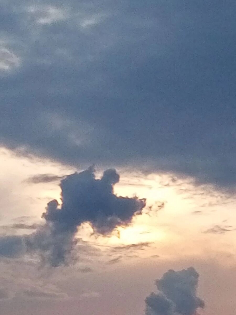 Ангел 😇 Ловина