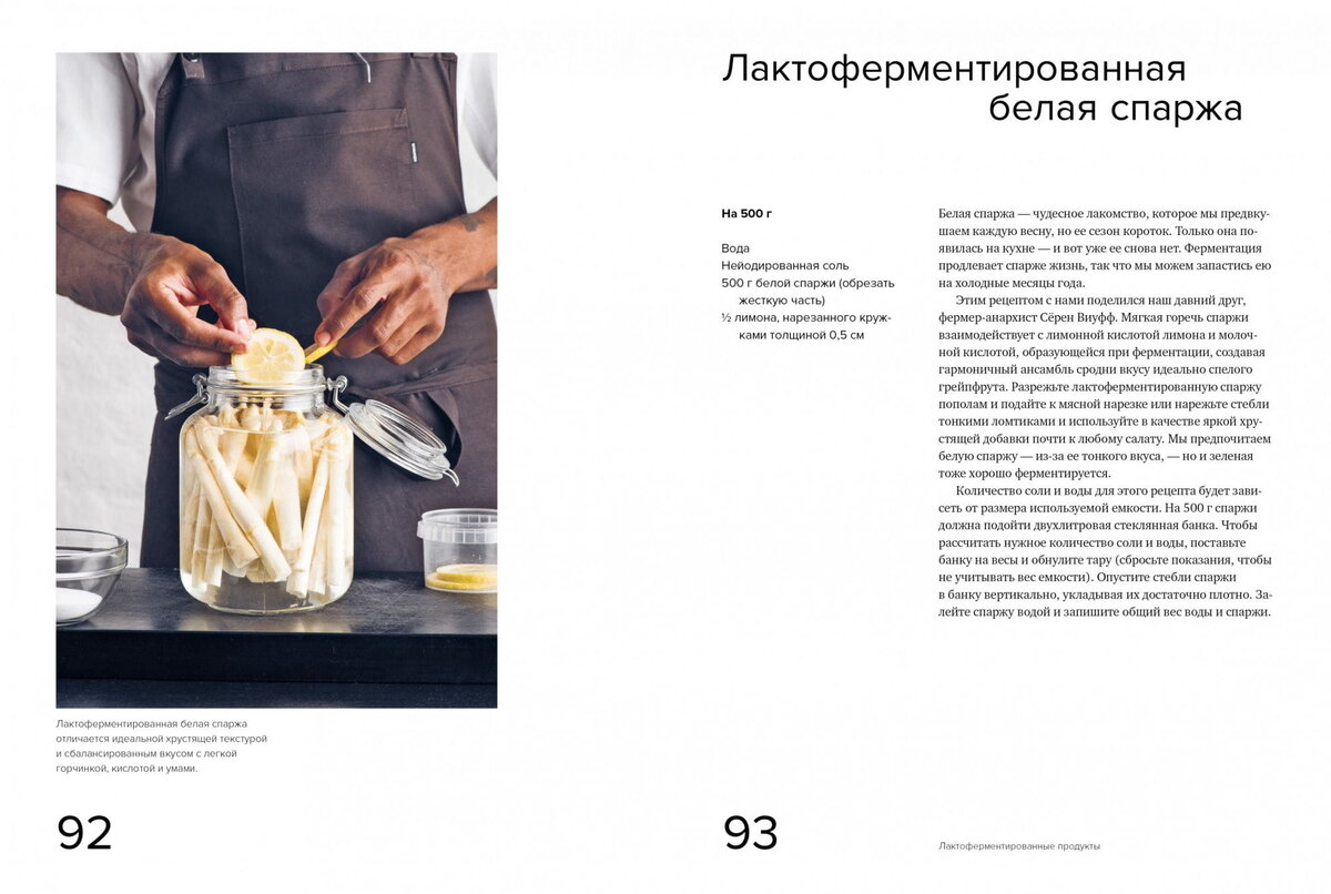 страницы из книги "Гид по ферментации от Noma" 