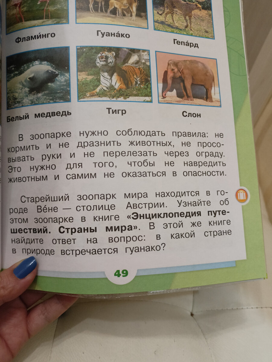 Началось... Окружающий мир. 1 класс. | Будни Черной Кошки | Дзен