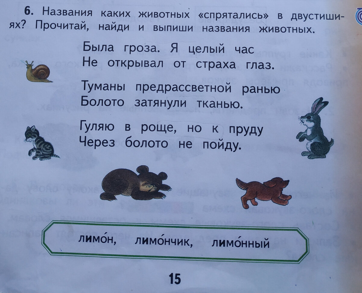 Подчеркни имена существительные в предложном падеже с ковром на стуле с добротой в страну