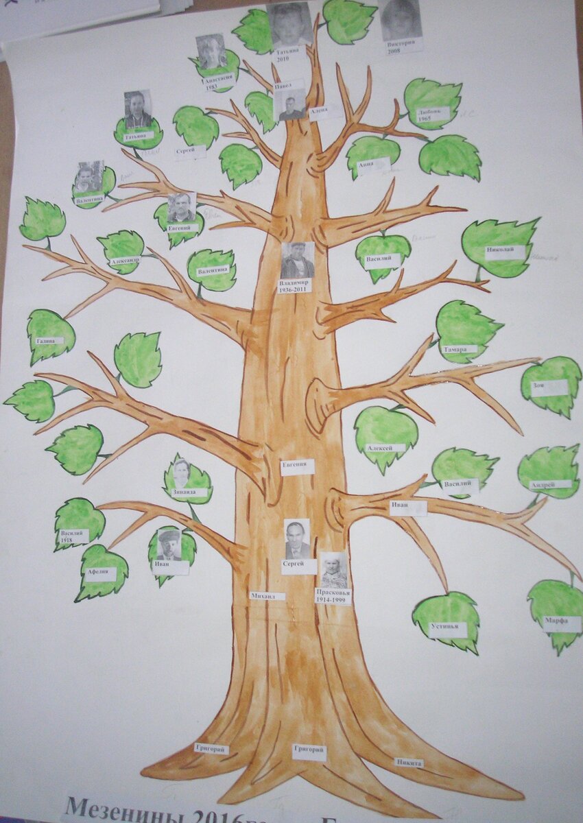 Геналогическое древо