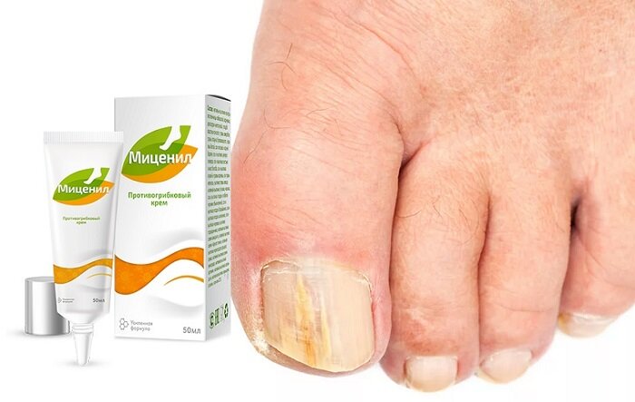 Яндекс.Картинки