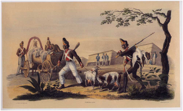 Великая армия начинает мародёрствовать