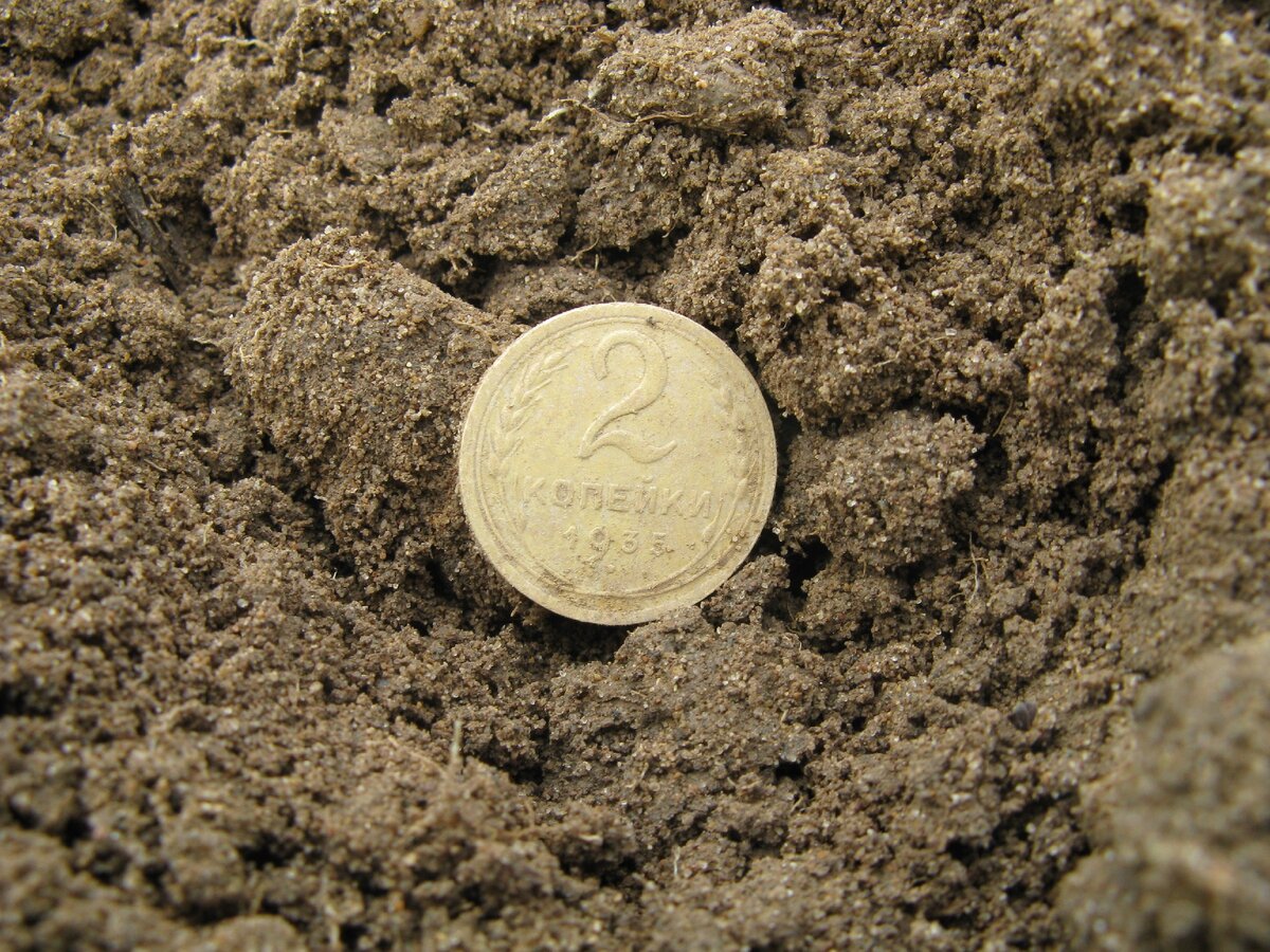 Первая находка