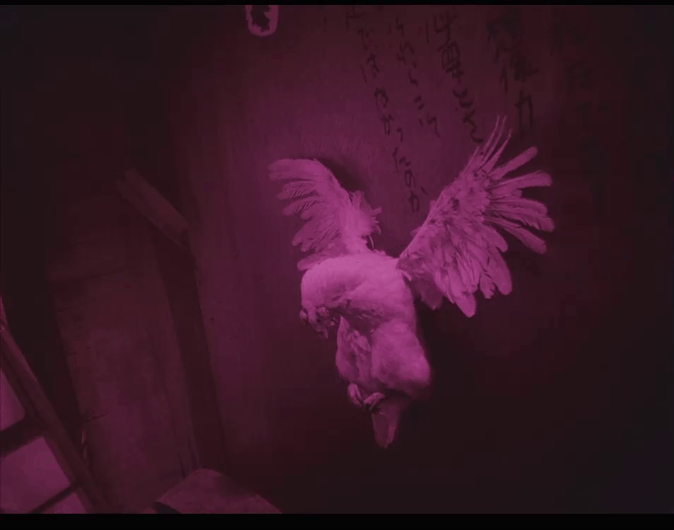 сцена из фильма "Бросай читать, Вали на улицу!"