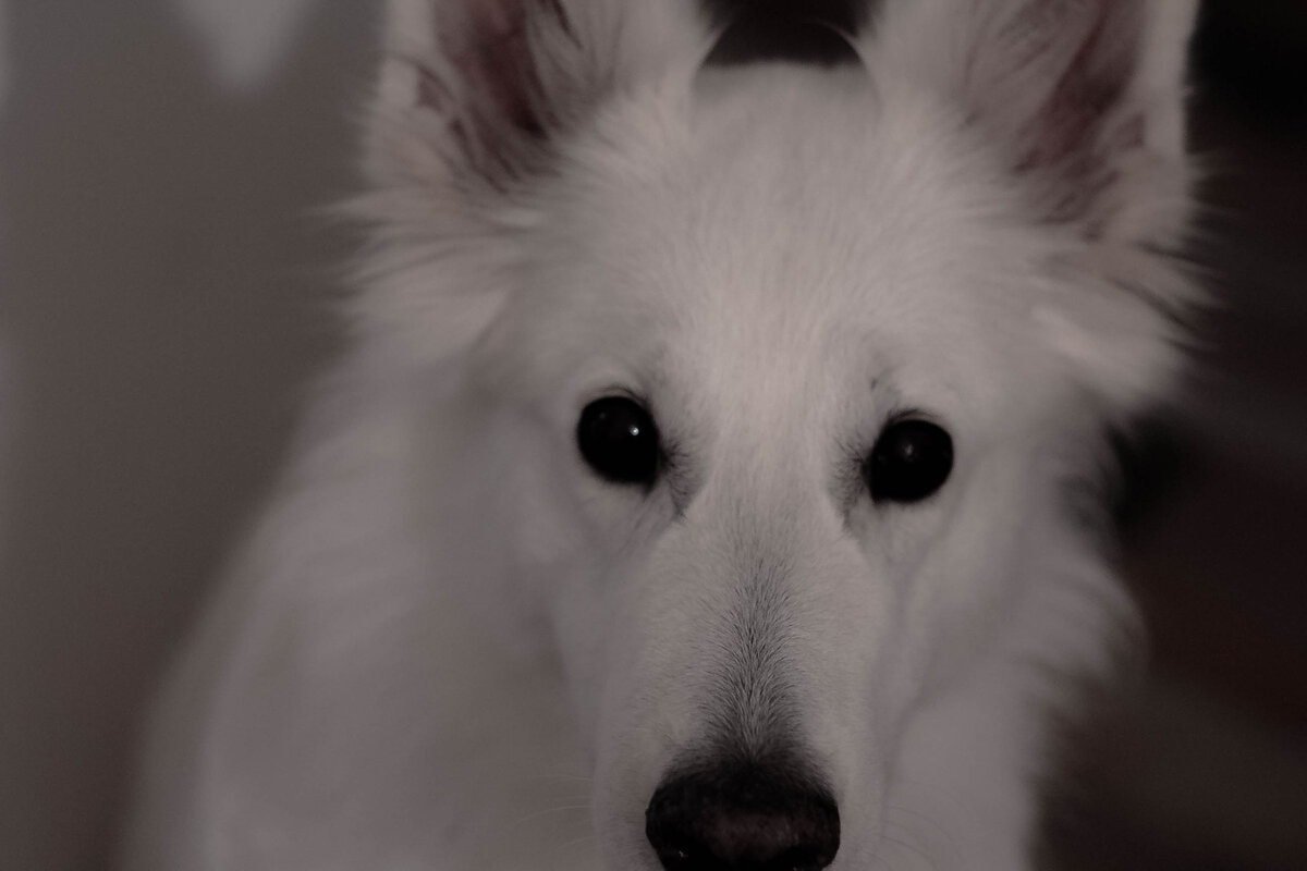 эти глазки...