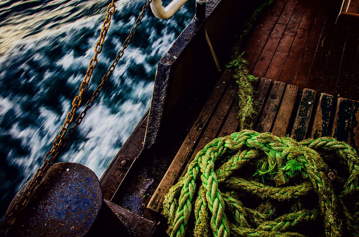 у автора есть право использовать это фото