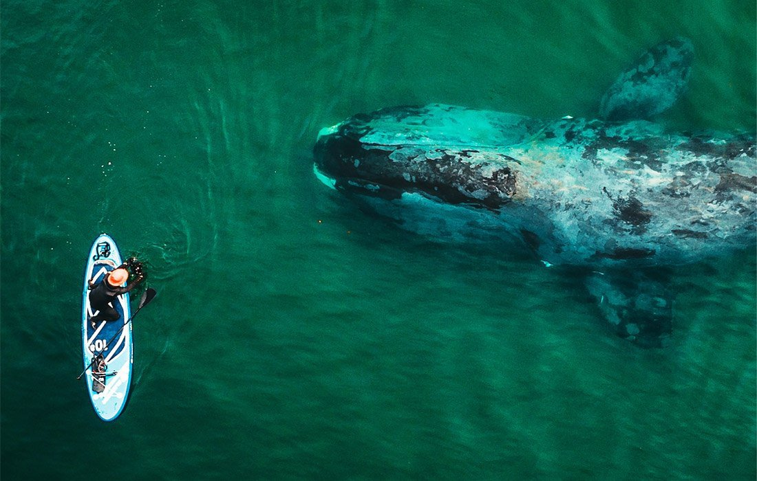 Когда приехал к родителям после того, как побывал у бабушки в деревне. 