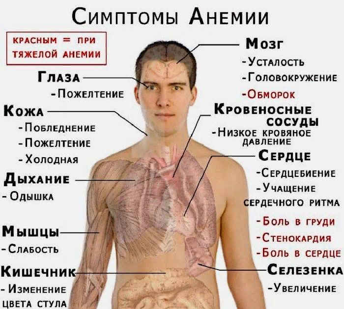 ВИТАМИН Е (ТОКОФЕРОЛА АЦЕТАТ) КАПСУЛЫ 200МГ N10