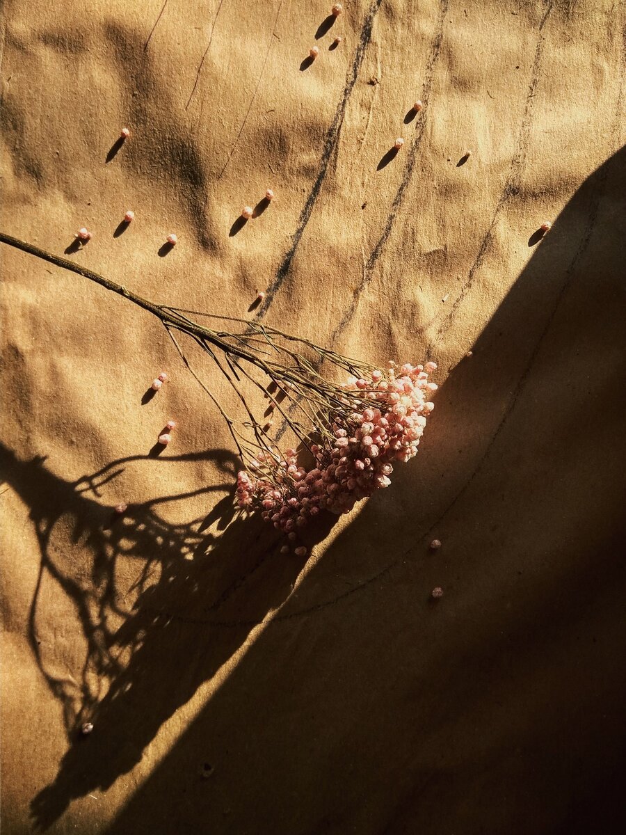 Фотография на Xiaomi Redmi 4A