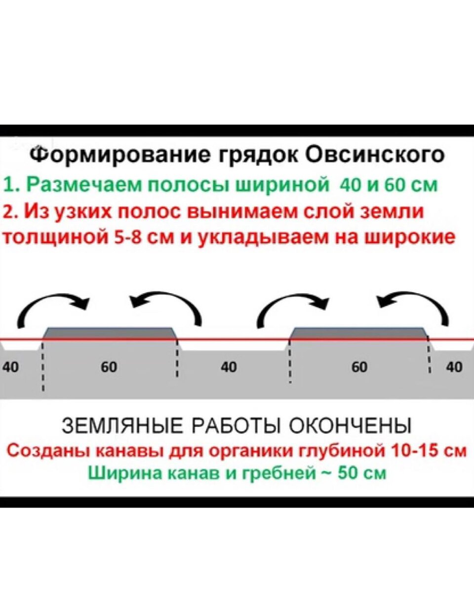 Грядка розума схема