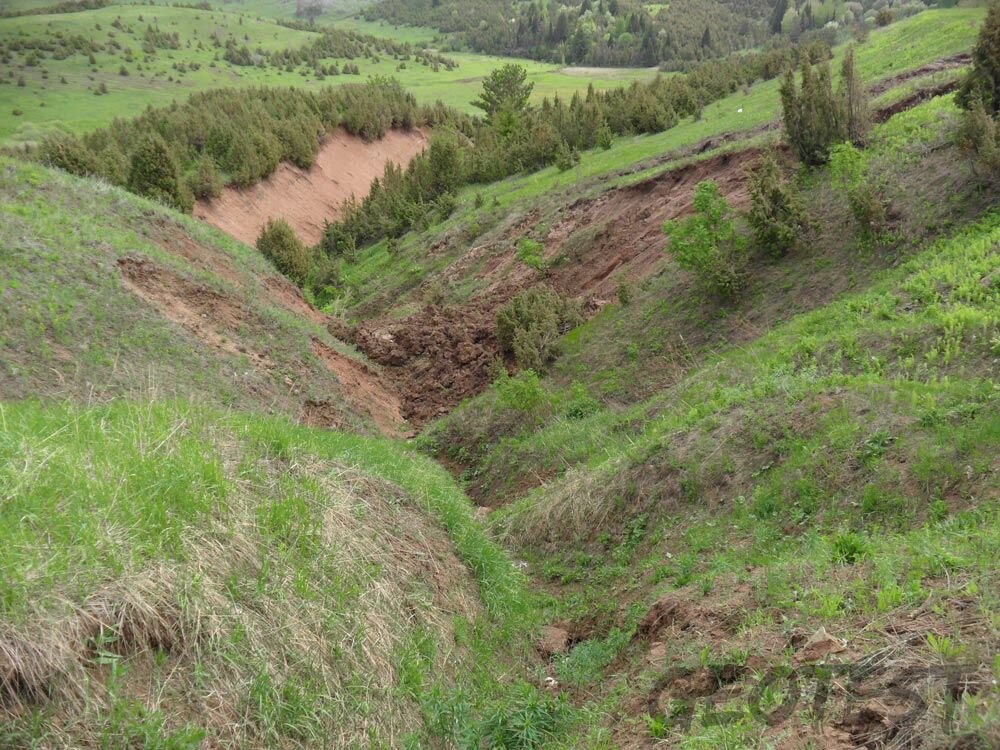 Эрозия почв на склонах. Овражная водная эрозия. Овражная эрозия почв. Дегумификация почв. Водная эрозия почв.