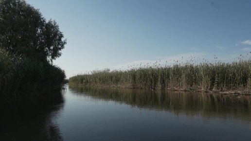 В дельте Волги, Астраханская область