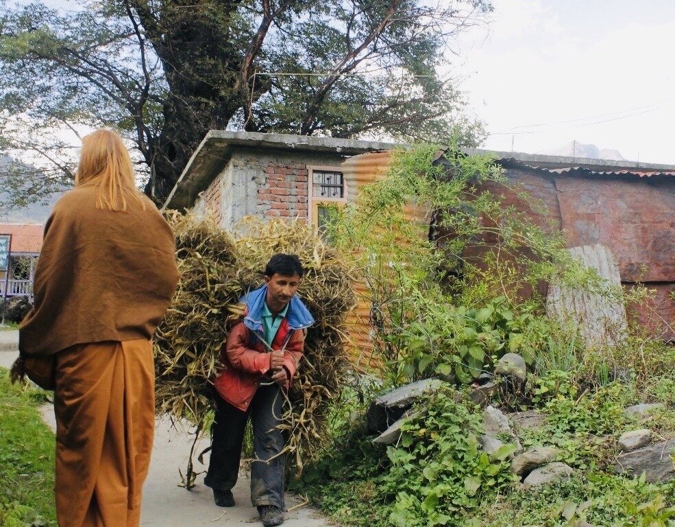 Индиец тащит сено