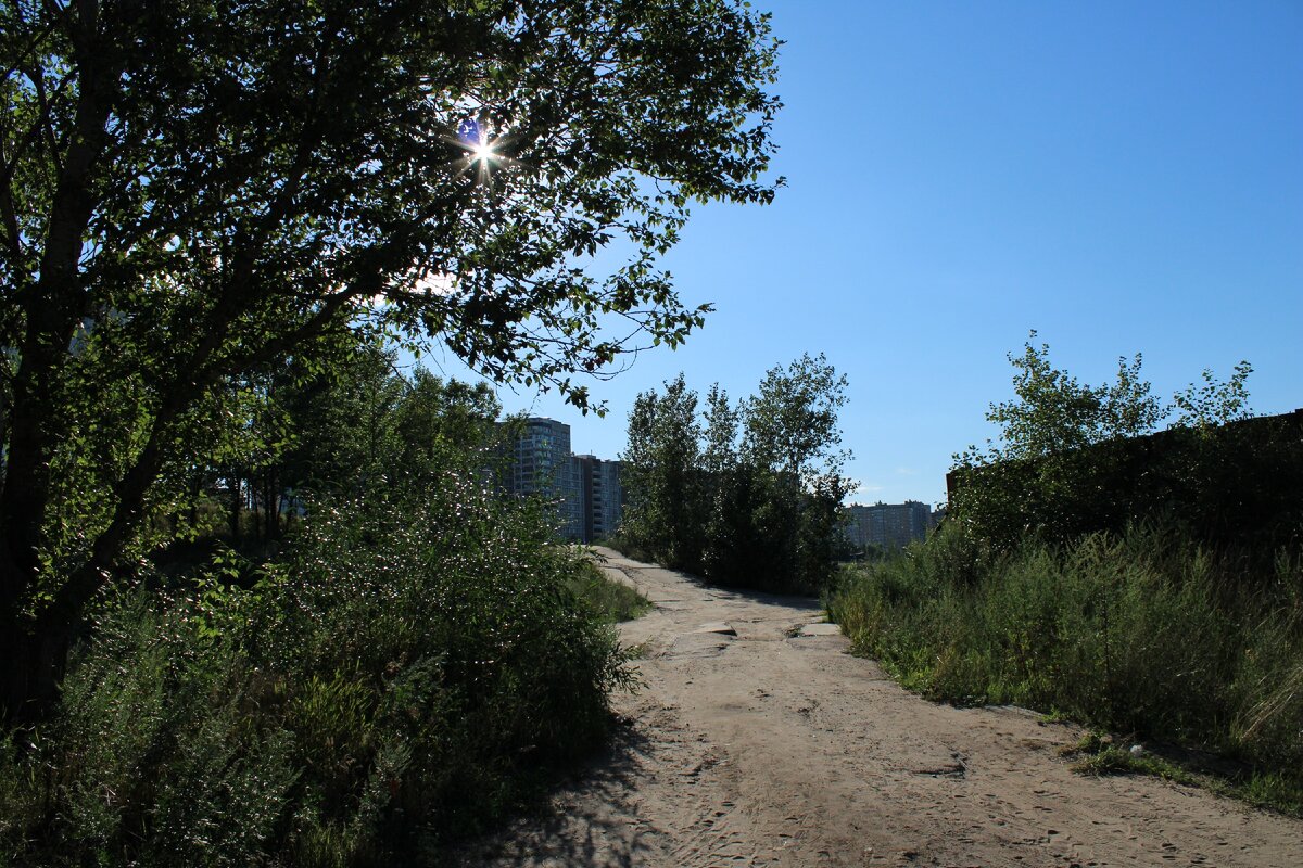 Волжская набережная Нижнего Новгорода: от Стрелки до Борского моста и  обратно | между прошлым и будущим | Дзен