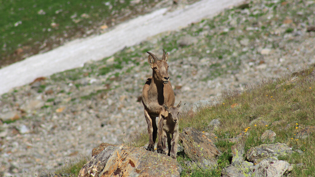 Многие вещи – это не вещи. 