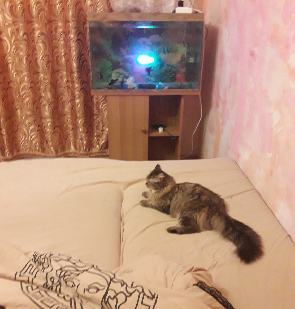 Отдыхает