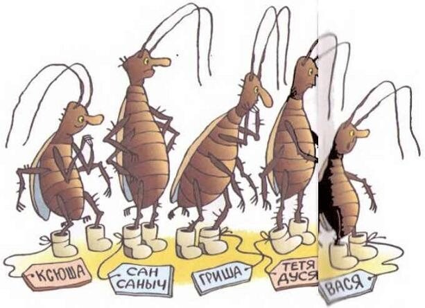 «Мысль уходит, а тараканы остаются.»