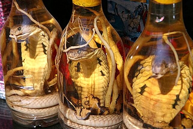 Яндекс картинки