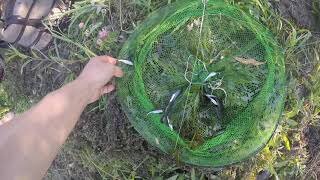 Уклейка на подьемник