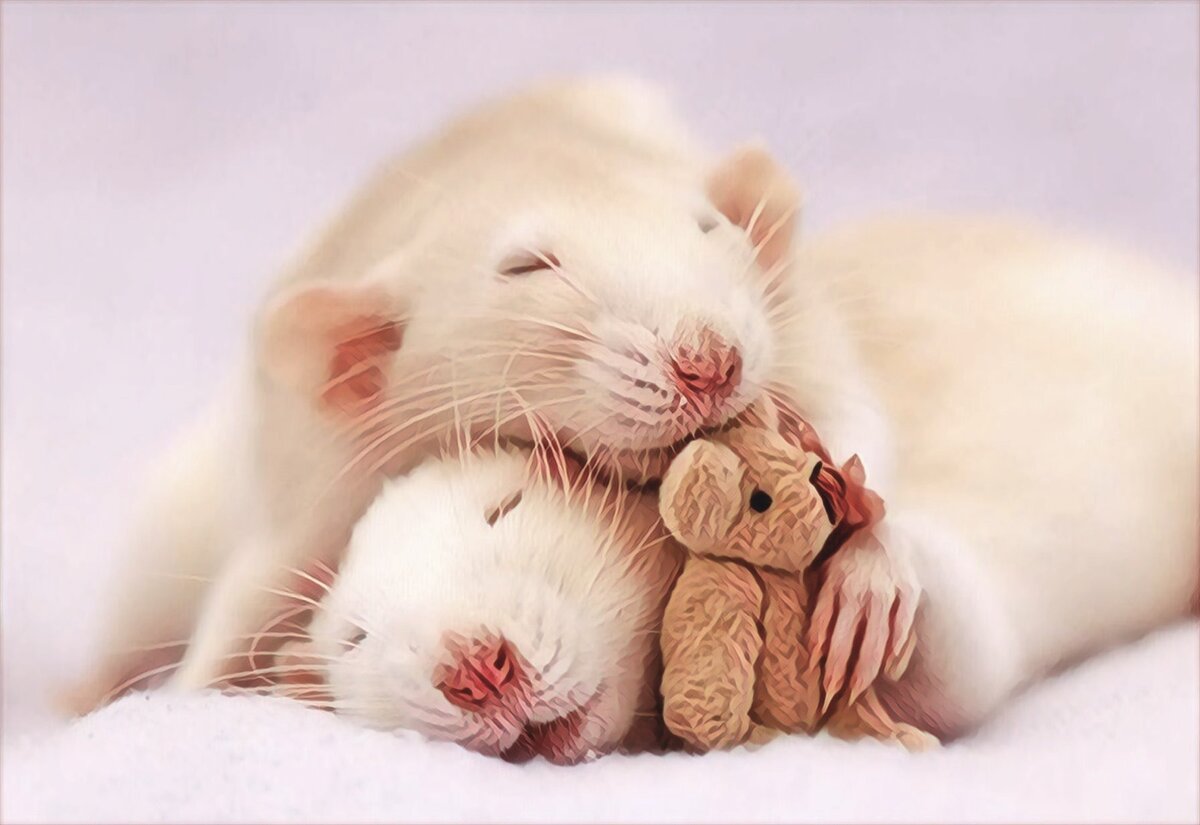 Фото из фотобанка