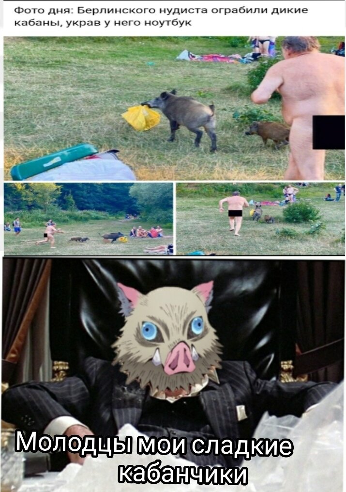 Кабанчики сила!!!!