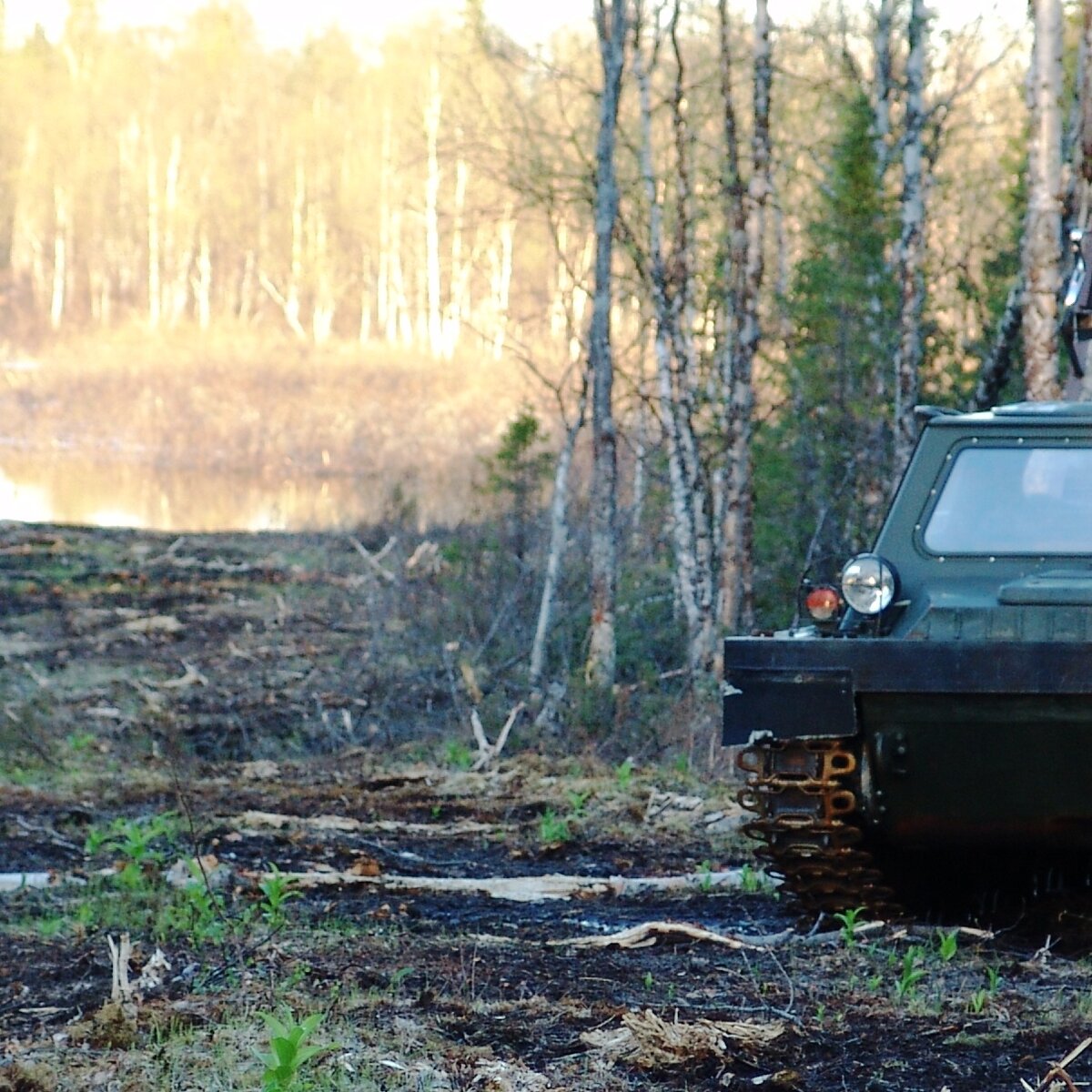 охота занятие древнее, но как бизнес - очень молодое и не только у нас (фото автора)