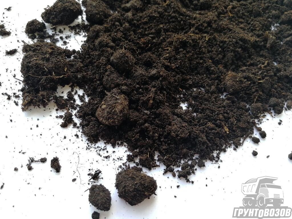 Торф – это осадочная горная порода с высоким содержанием углерода. Она образуется в результате частичного разложения болотных растений в условиях повышенной влажности и при недостатке кислорода.