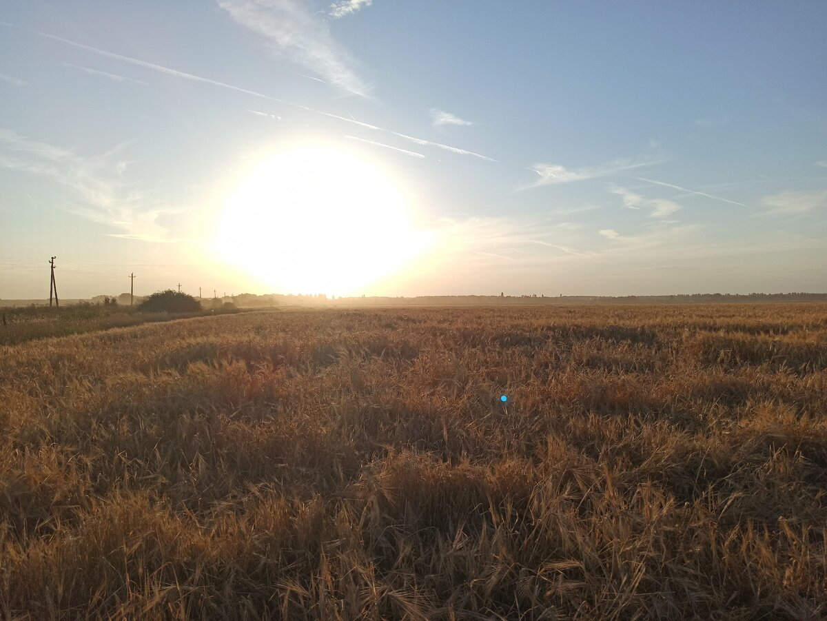 15 фото из 23 версий