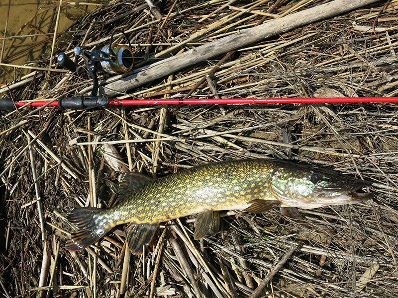 ловлю основа