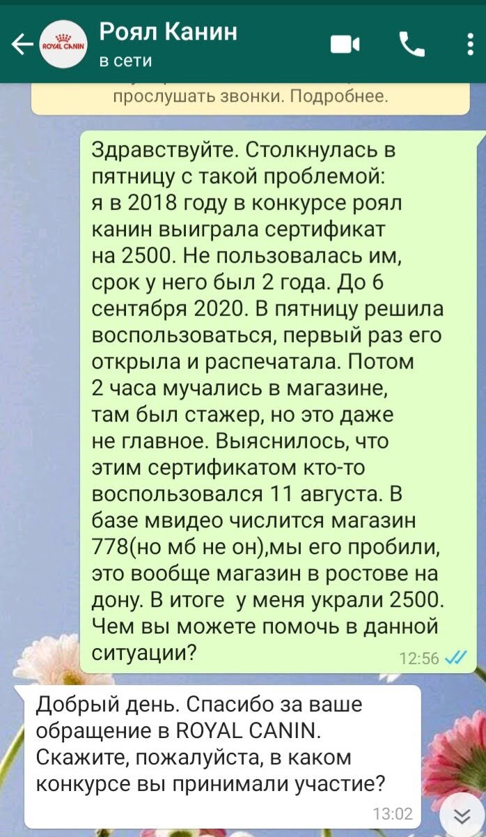 Скриншот переписки автора