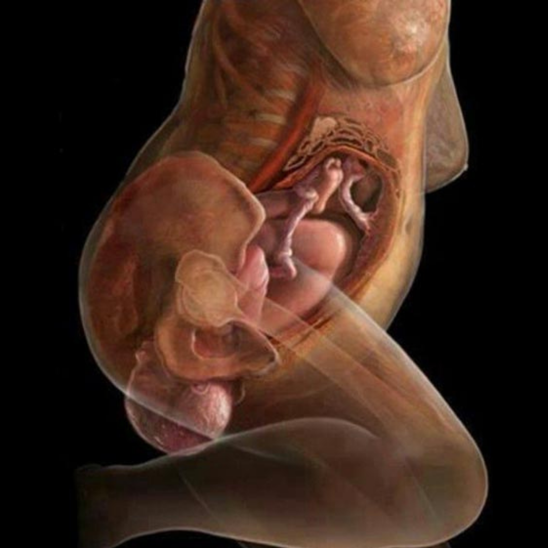 Беременность как проходят роды. Вертикальные роды позы. Процесс рождения ребенка.