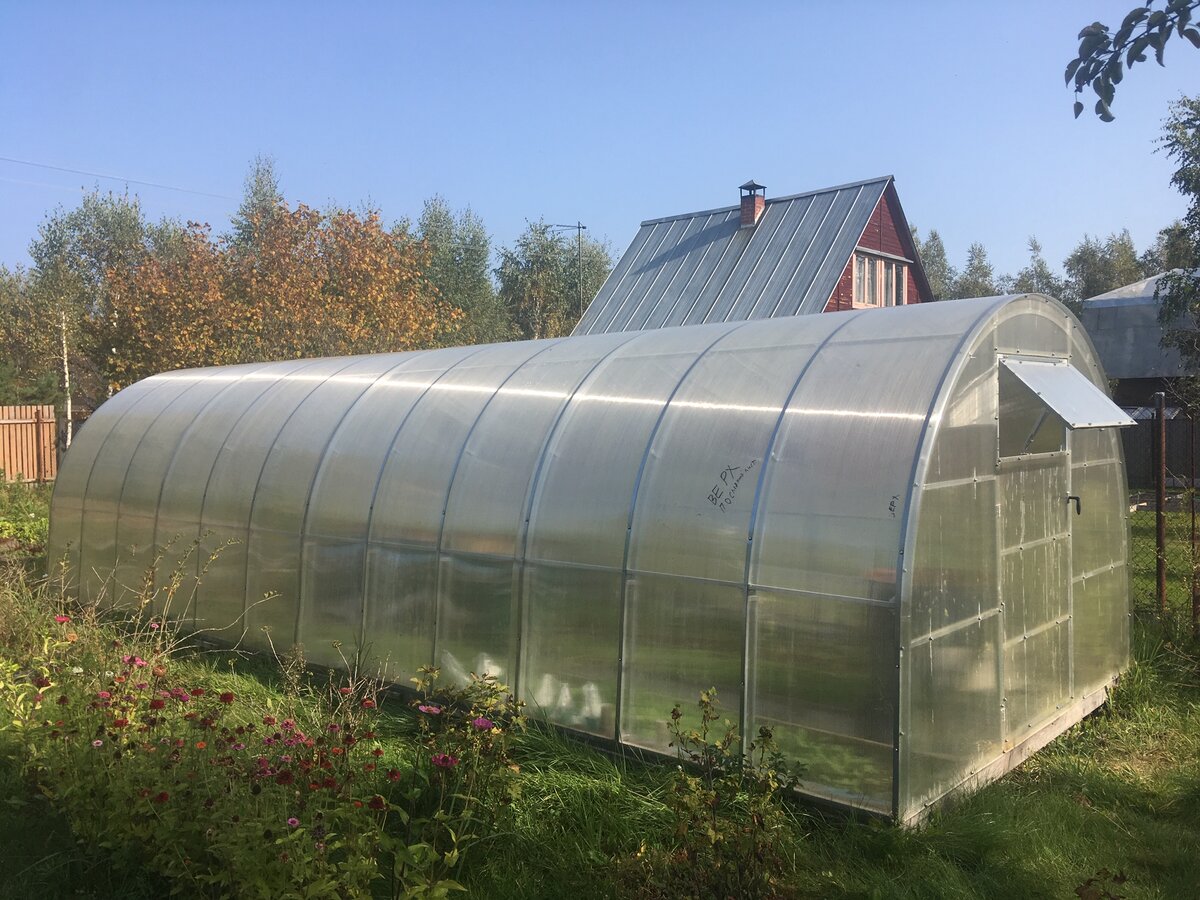 Теплица в сборе.