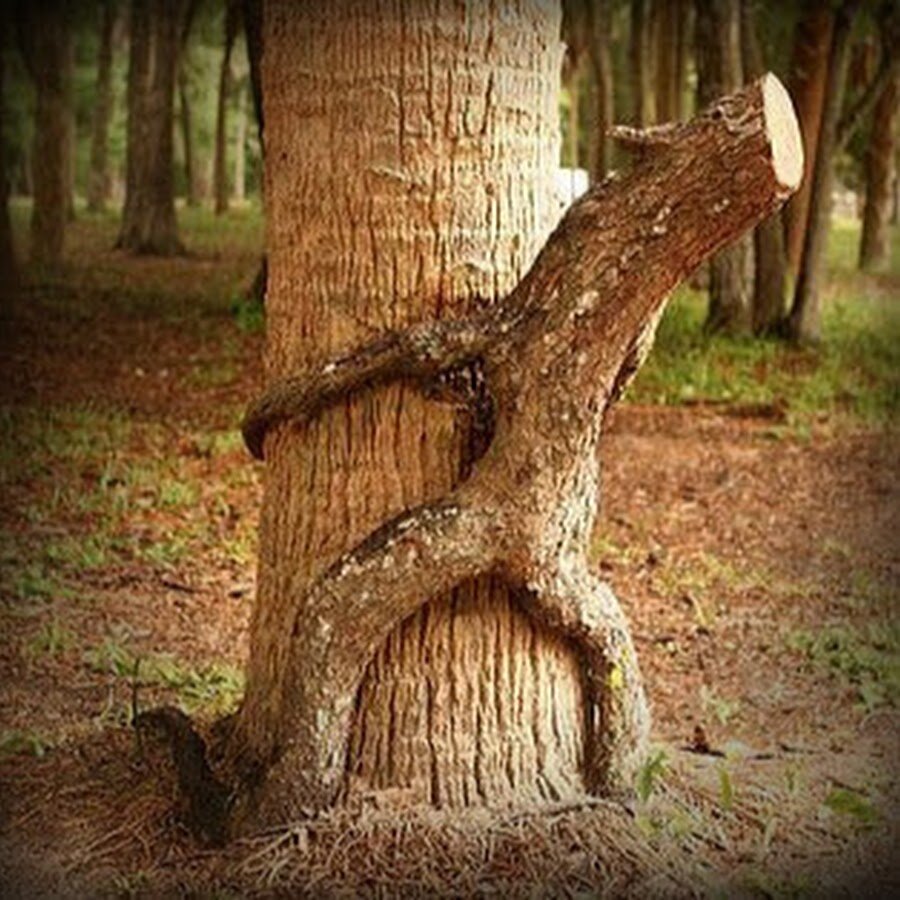 Из открытых источников.