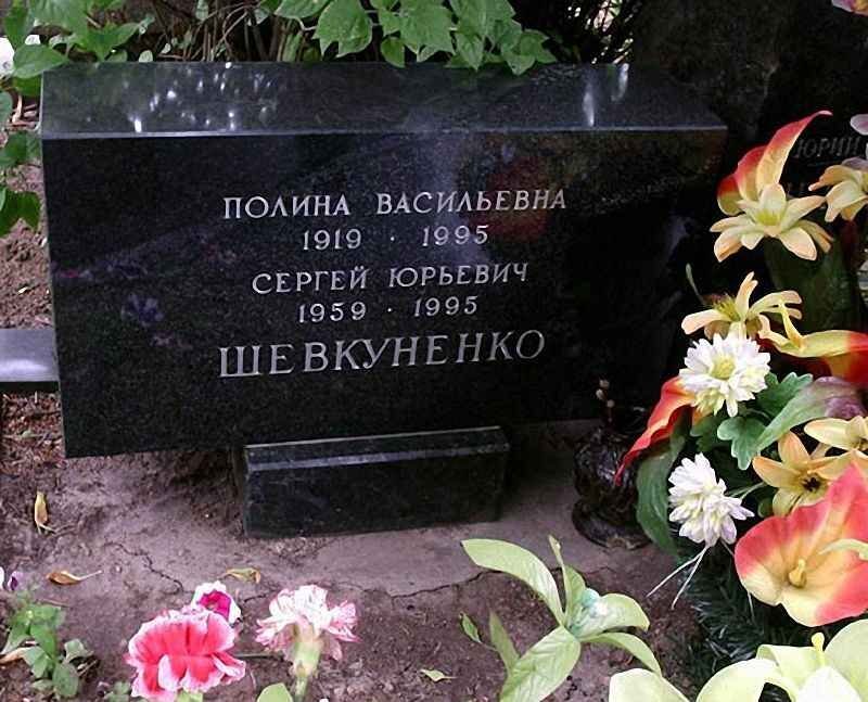 Сергей шевкуненко биография и личная жизнь
