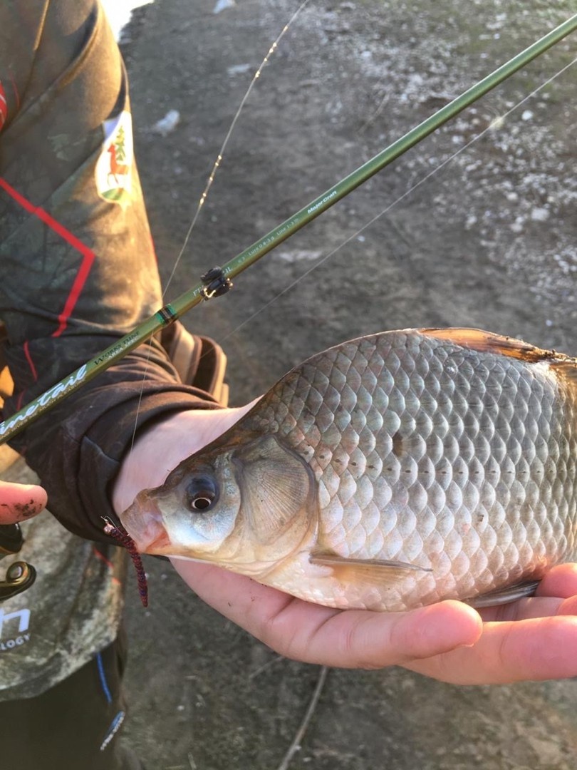 весенний карась пойманный на мормышку весом 0.3  грамма с подсадкой силиконового червячка. Заброс под кусты камыша, лёгкие покачивания удилищем, и поклёвка не заставит себя ждать. Масса эмоций на вываживании заставит вас по настоящему полюбить мормышинг))