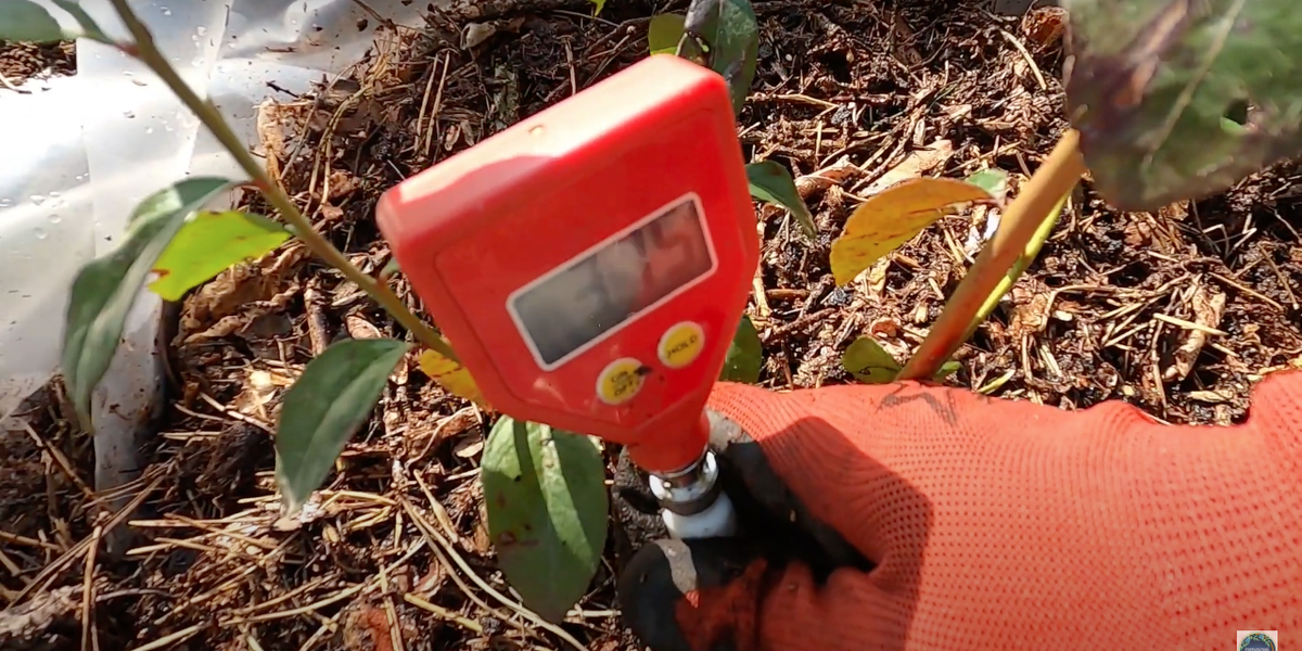 измерение ph почвы