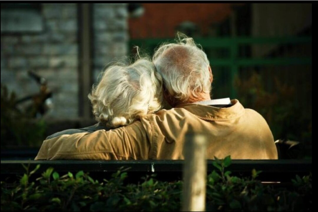 Спустя всю жизнь. Фото из открытых источников Яндекс.  