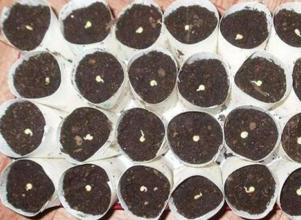 Источник: Яндекс картинки yandex.ru