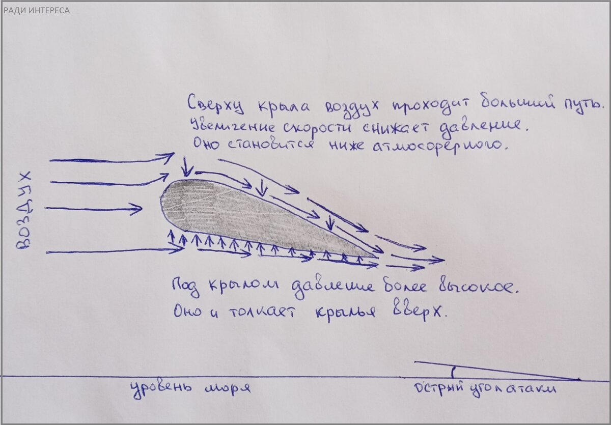 Фото личного рисунка.