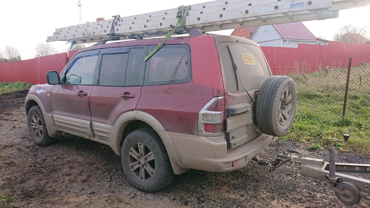 Красавец носорог