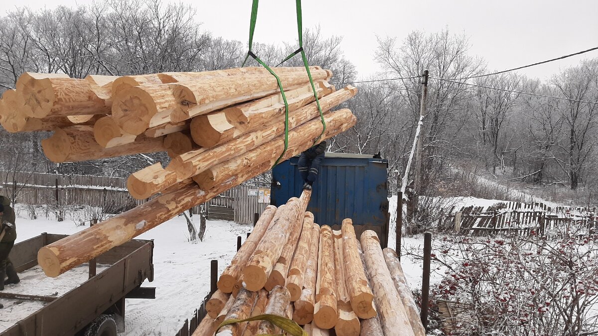 Сборка сруба 6x8м в Чашу | 