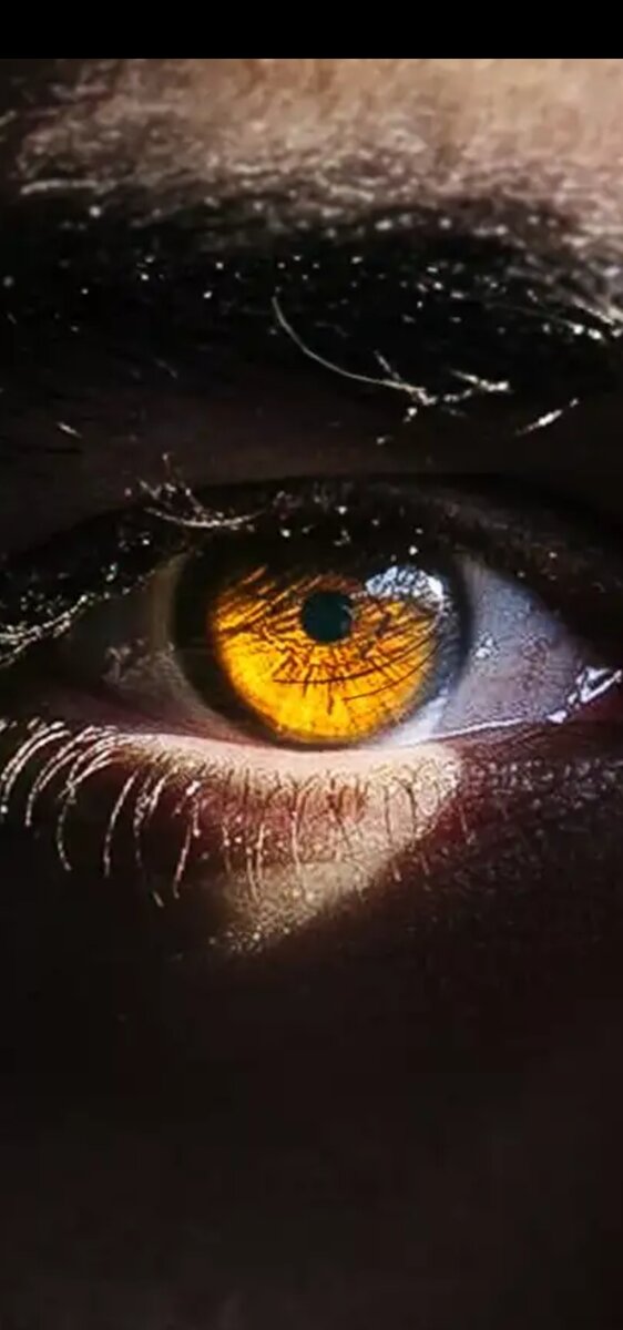 Открытый источник. 