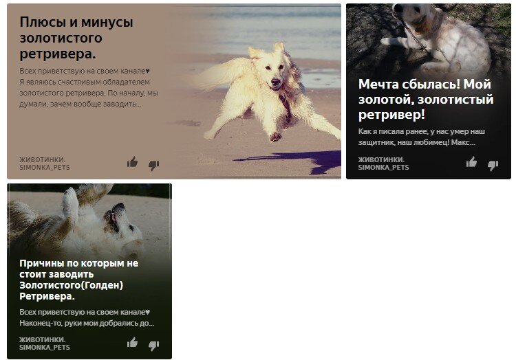 Вот эти три мои первые статьи. Из них стрельнула "Мечта сбылась! Мой золотой, золотистый ретривер!".